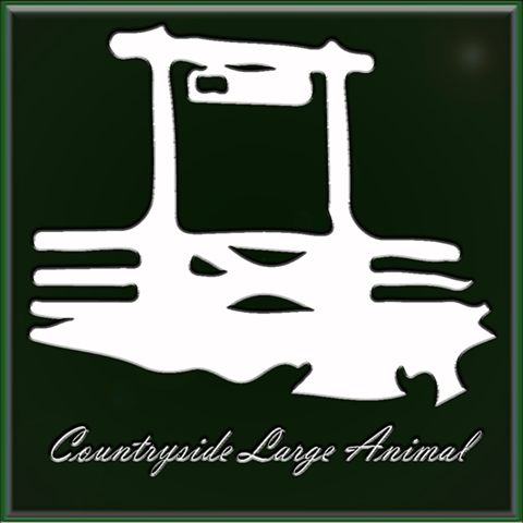 Countryside Large Animal Vet - Greeley , United States