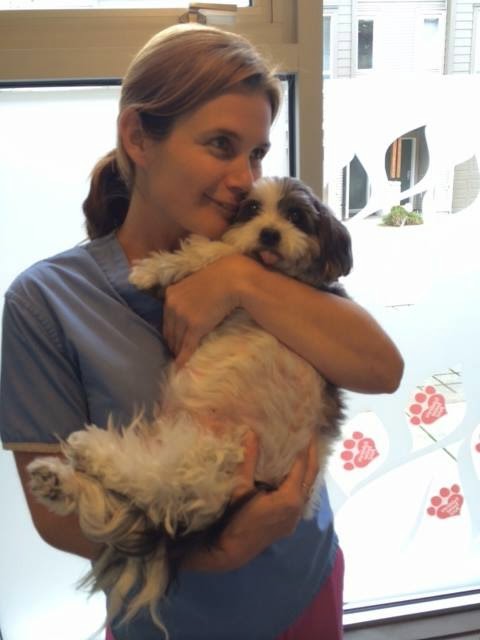 Vca Healing Paws Animal Hospital - Port Moody , Canada
