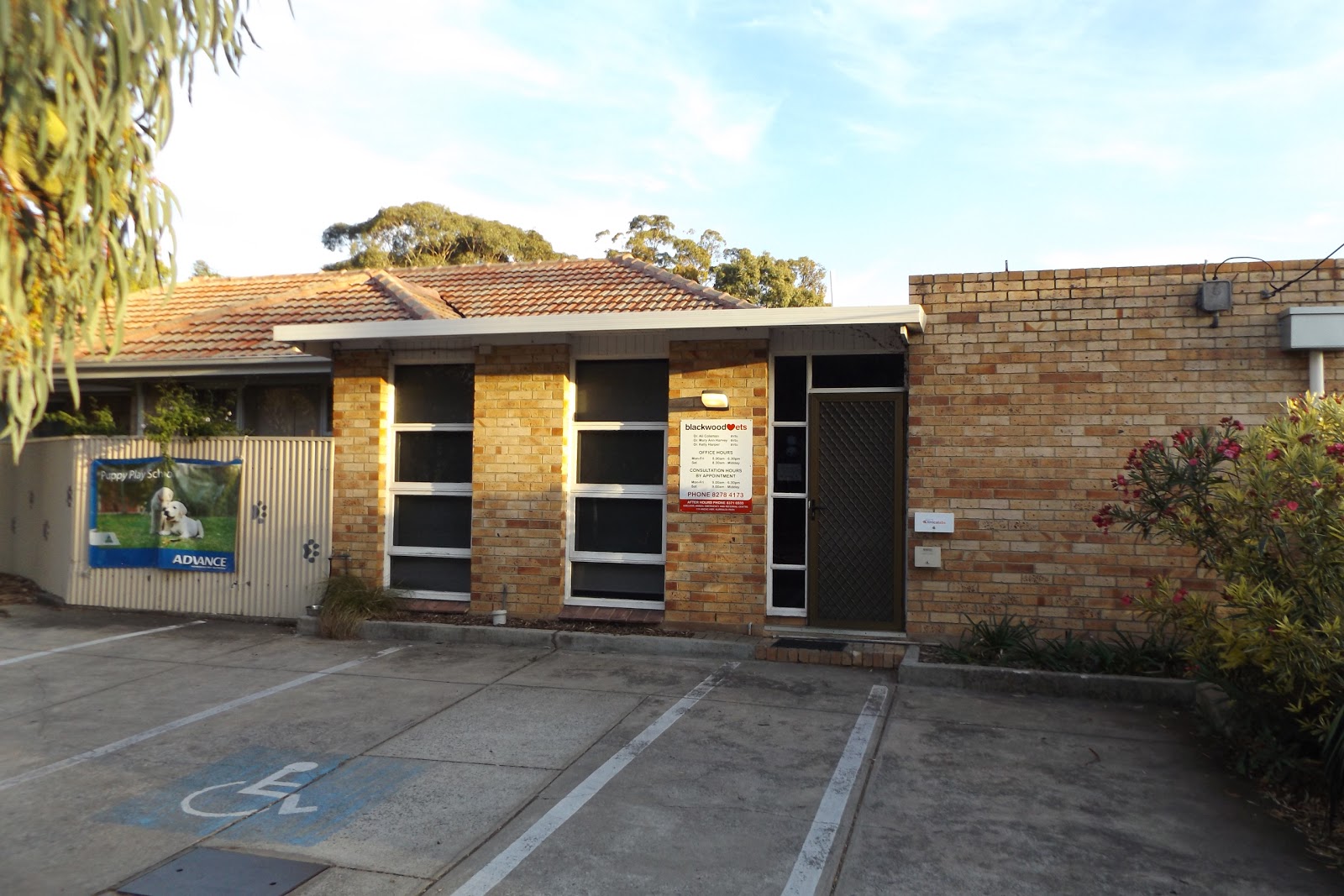 Blackwood Veterinary Surgery - Blackwood , Australia