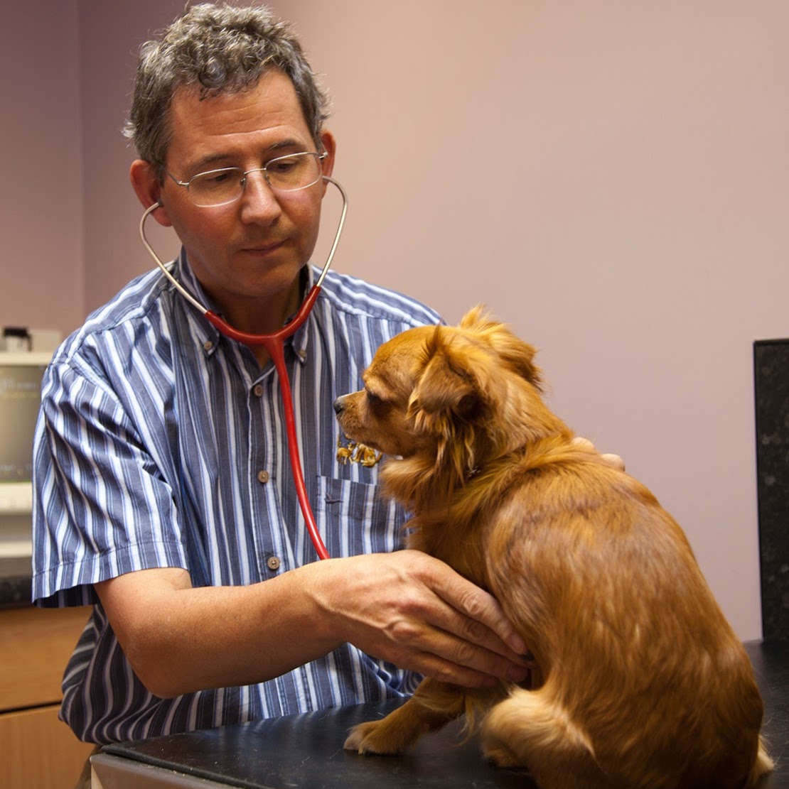 Lydon Veterinary Centre - Birmingham , United Kingdom