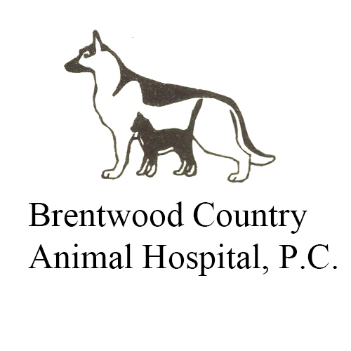 Brentwood Country Animal Hospital Pllc - Exeter , United States