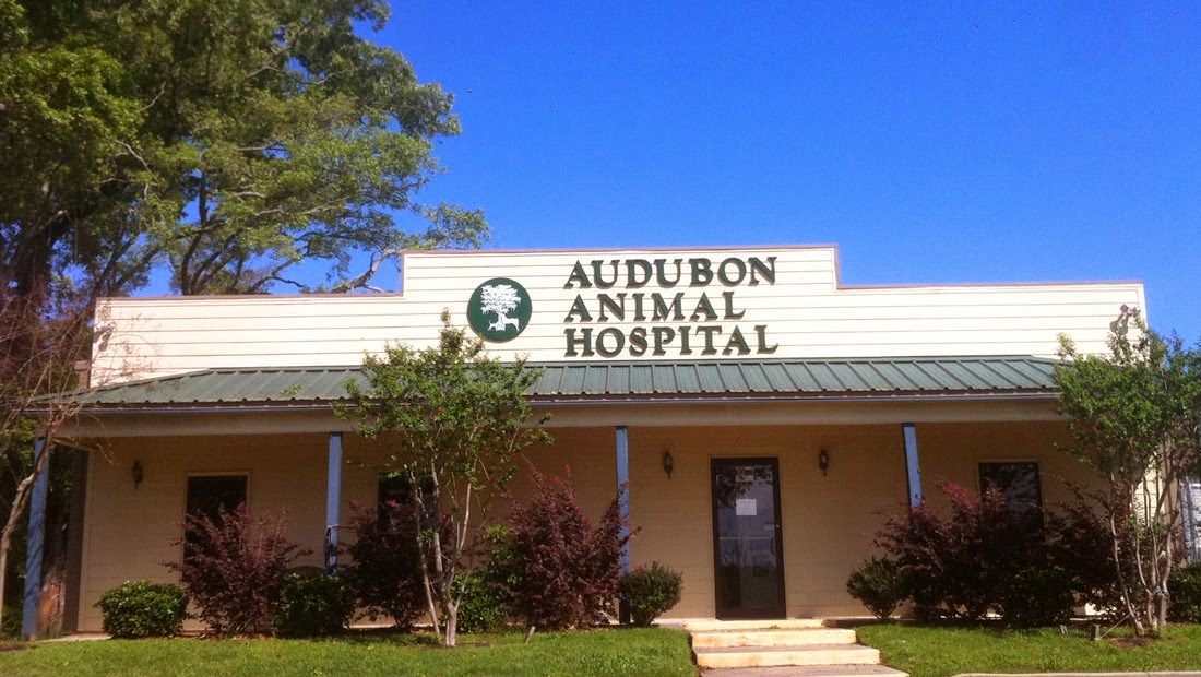 Audubon Veterinary Hospital - St Francisville , United States