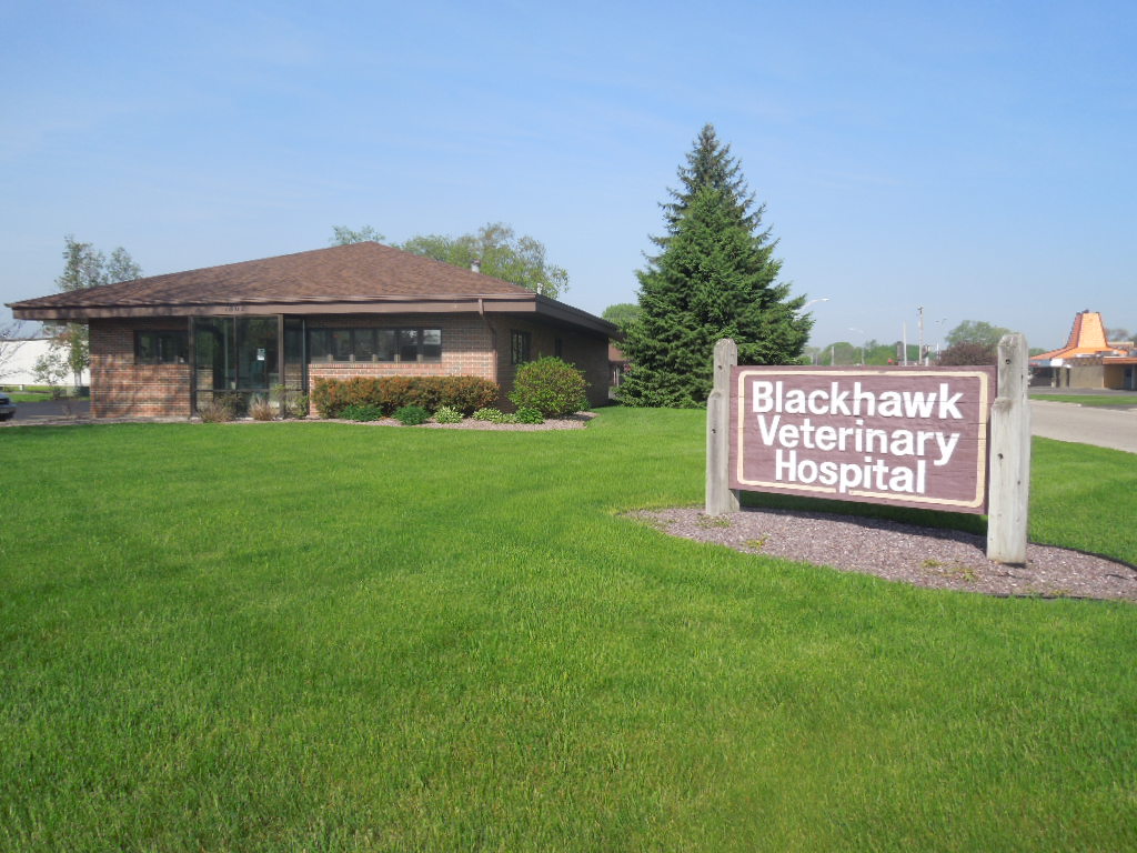 Blackhawk Veterinary Hospital - Janesville , United States