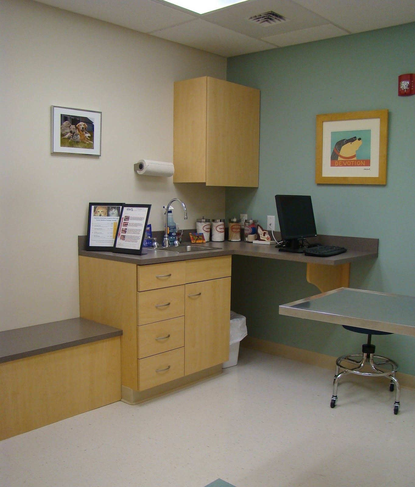 Vca Capeway Animal Hospital - Fairhaven , United States