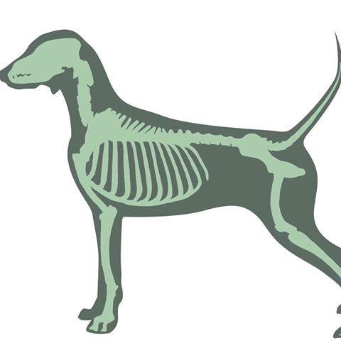 Medivet West Kensington Barons Court Veterinary Centre - London , United Kingdom