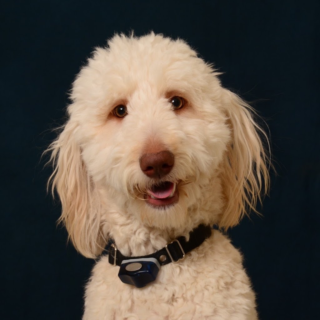 Jefferson Animal Hospital Fern Creek - Louisville , United States