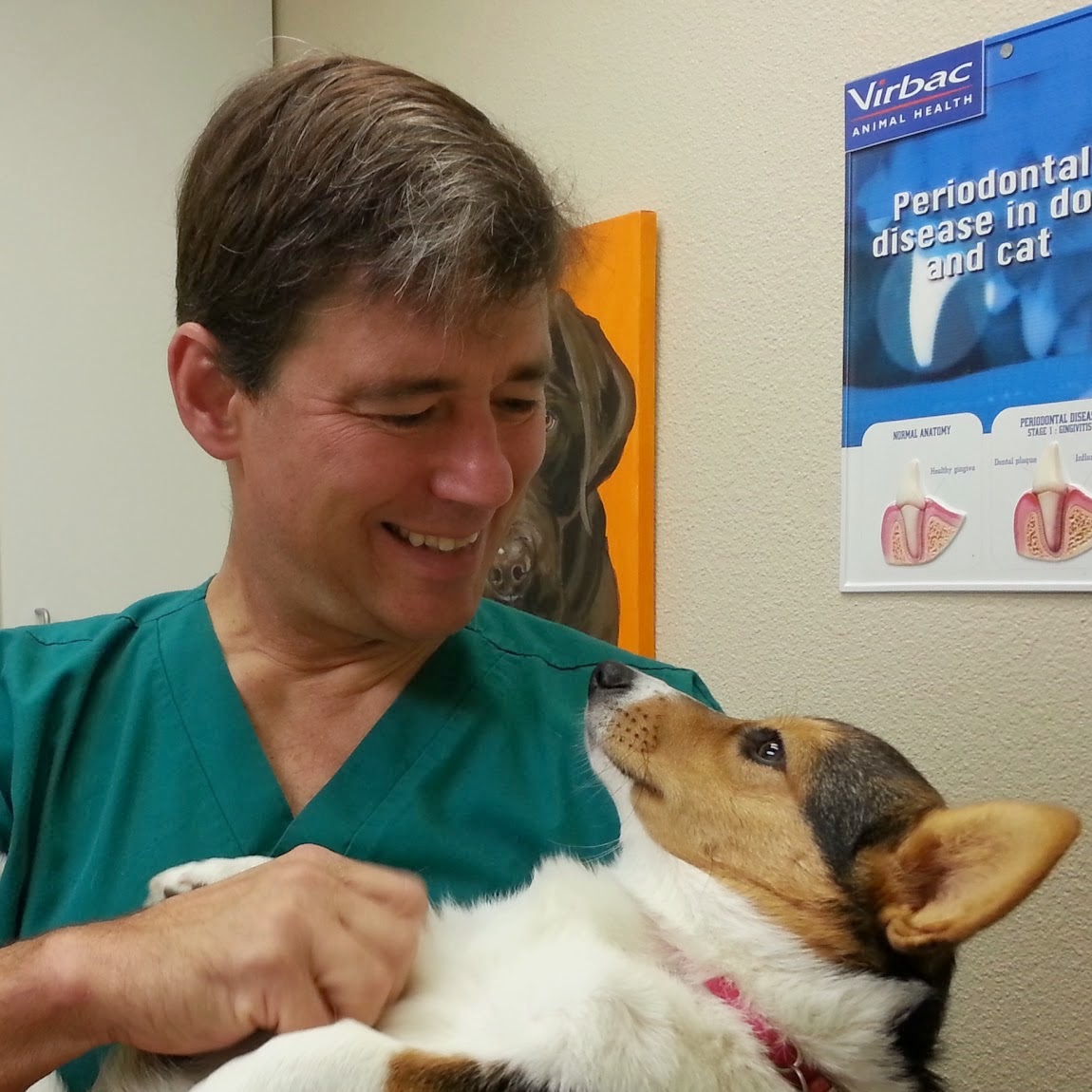 Aloha Animal Medical Center - Aloha , United States