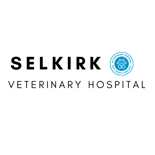 Selkirk Veterinary Hospital - Nelson , Canada