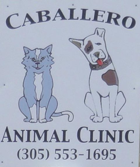 Caballero Animal Clinic - Miami , United States