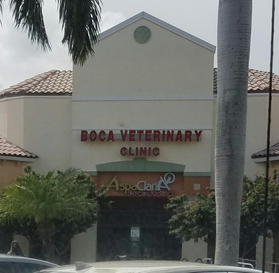 Boca Veterinary Clinic - Boca Raton , United States