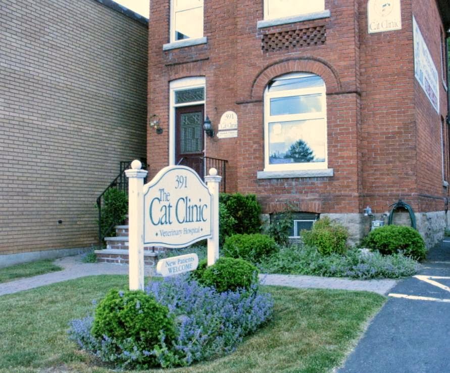 The Cat Clinic - Hamilton , Canada