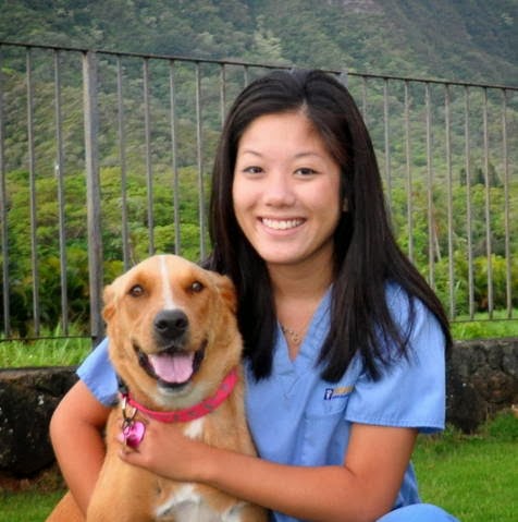 Koolau Animal Hospital - Kaneohe , United States