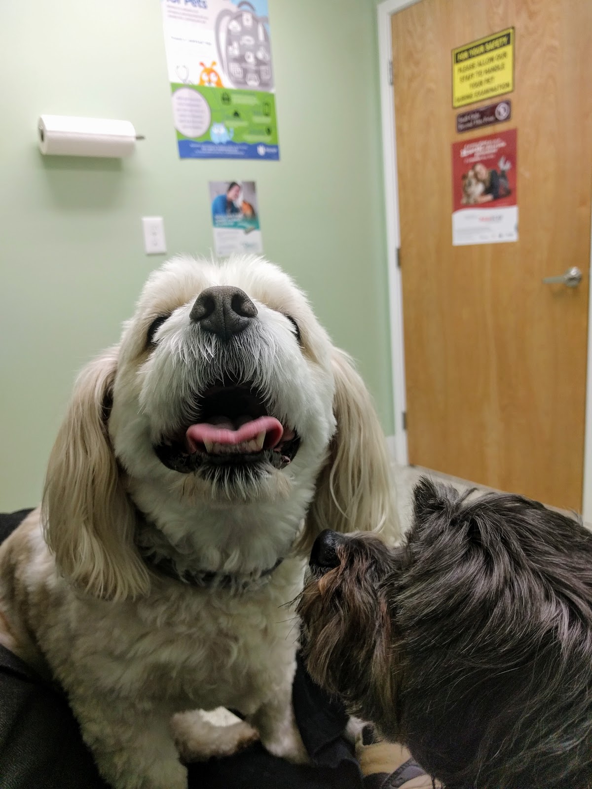 Brookville Animal Hospital - Brookville , United States
