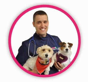 Vets4pets best sale st james