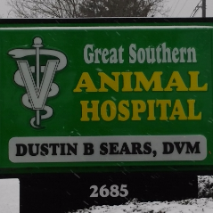 Great Southern Animal Hospital - Columbus , United States