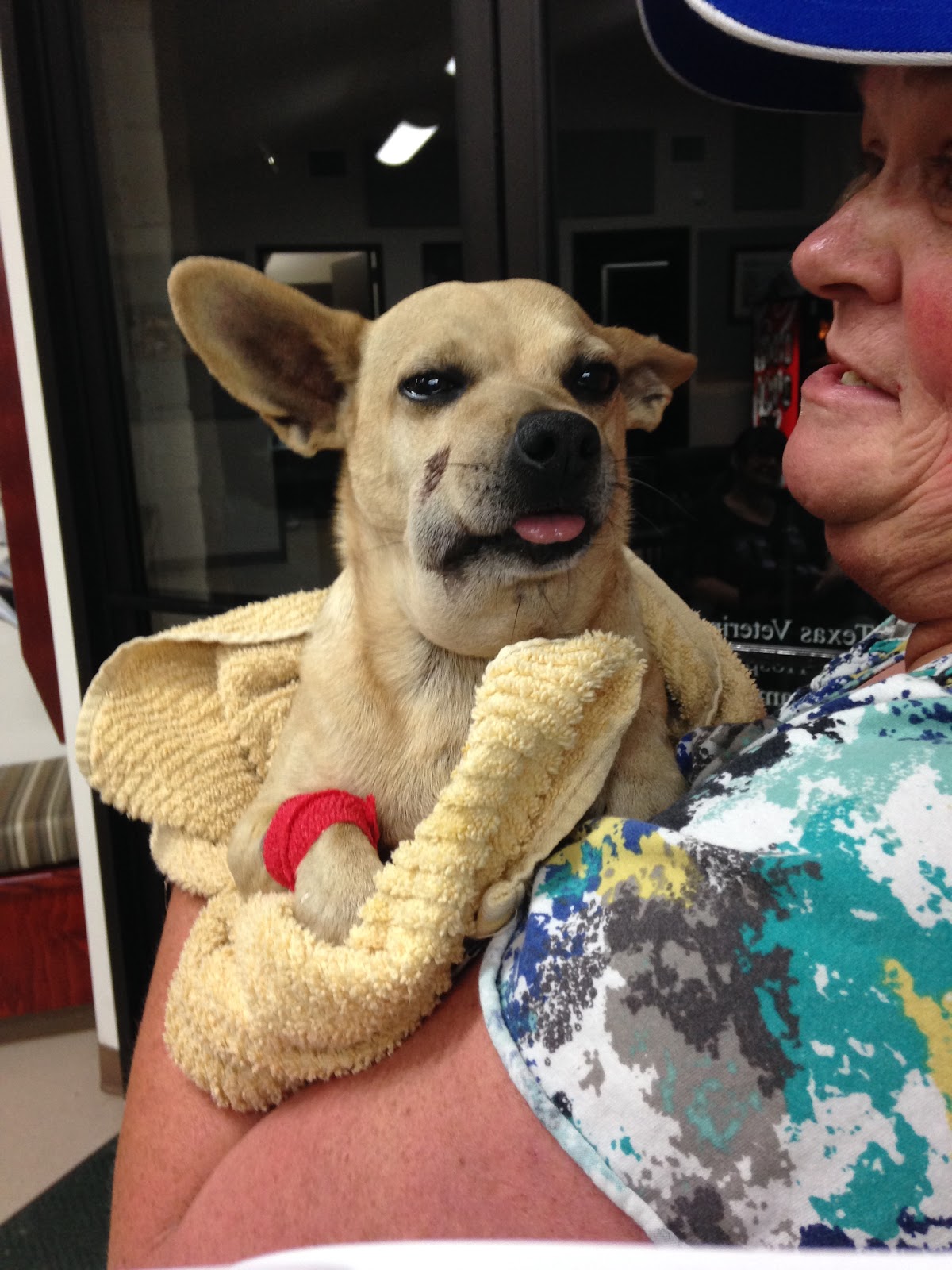 Central Texas Veterinary Speciality And Emergency Hospital - Austin , United States