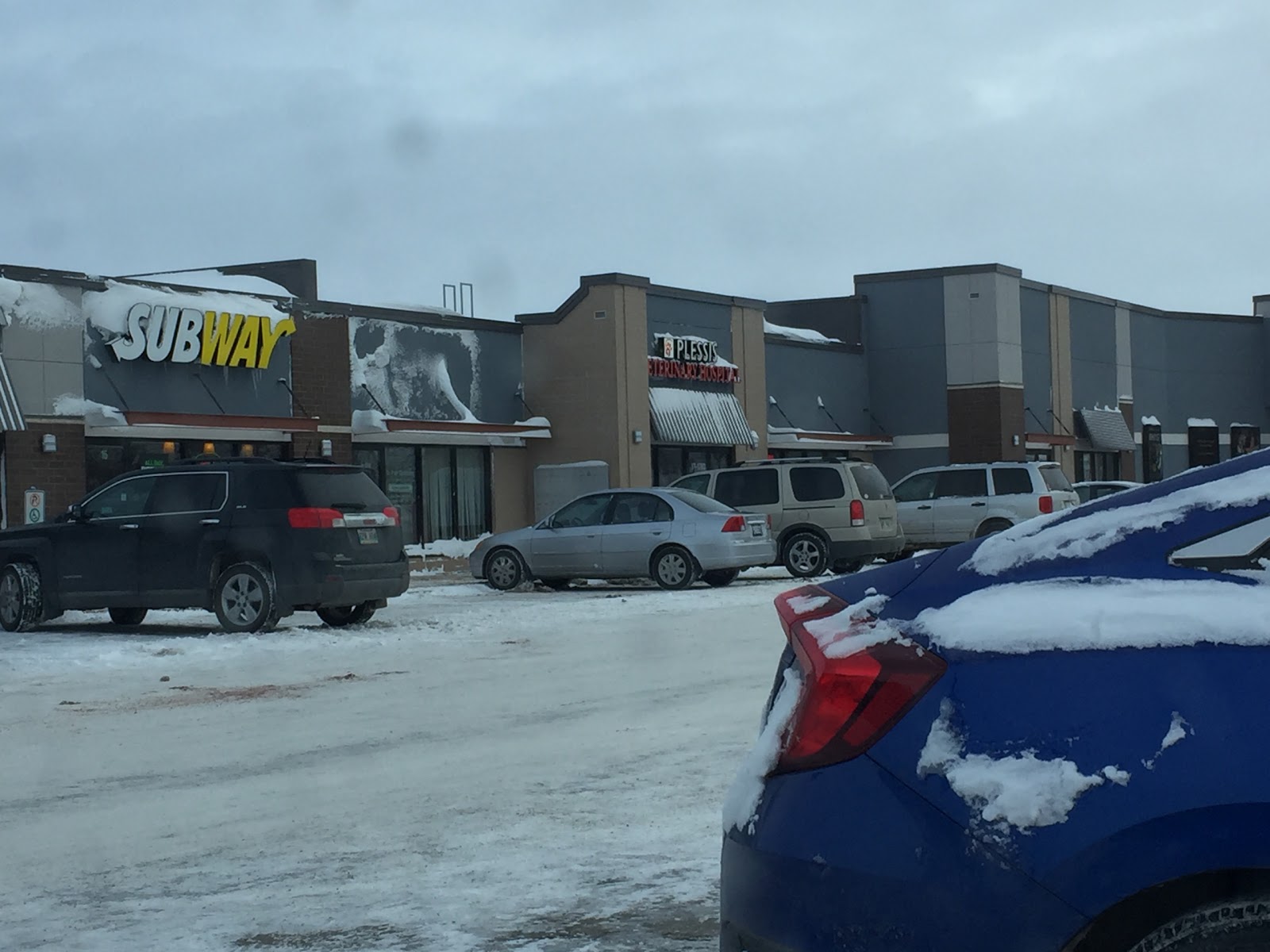 Plessis Veterinary Hospital - Winnipeg , Canada