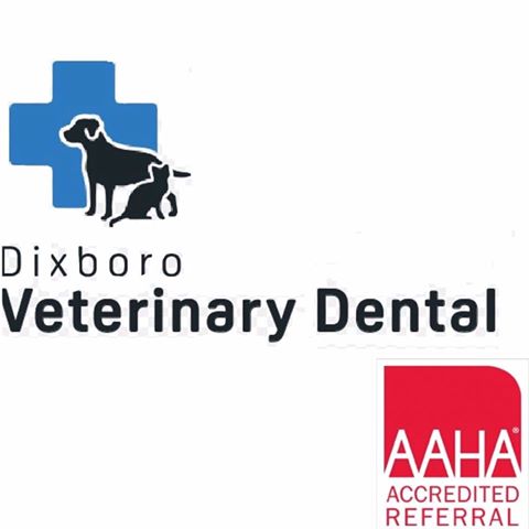 Dixboro Veterinary Dental - Ann Arbor , United States
