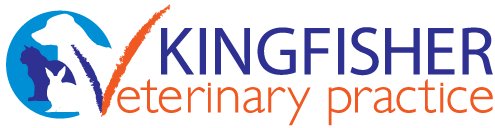Kingfisher Veterinary Practice - Martock , United Kingdom