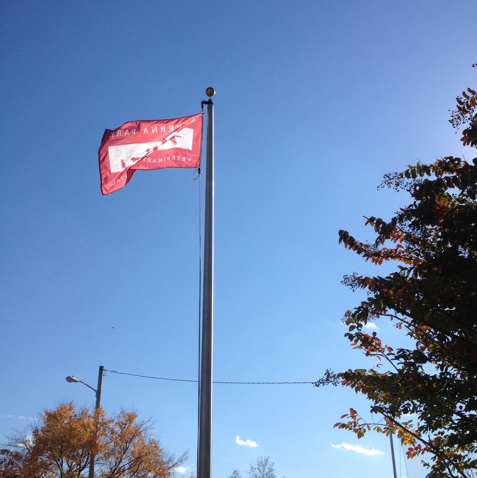 Severna Park Veterinary Hospital - Severna Park , United States