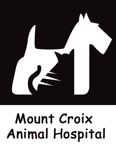 The Mount Croix Animal Hospital - Port Elizabeth , South Africa