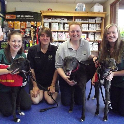 Tone Veterinary Centre Taunton - Taunton , United Kingdom