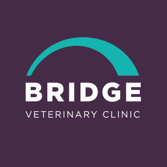 The Bridge Veterinary Clinic Lechlade - Lechlade , United Kingdom