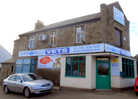 Springfield Veterinary Surgery - Sheffield , United Kingdom