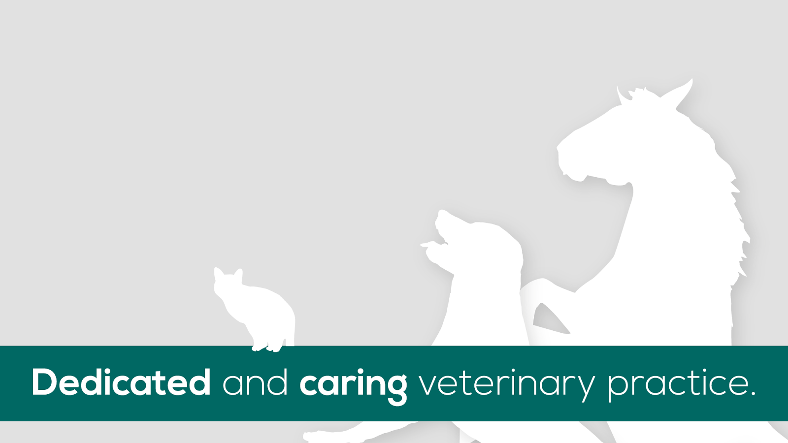 Rhianfa Veterinary Centre - Rhyl , United Kingdom