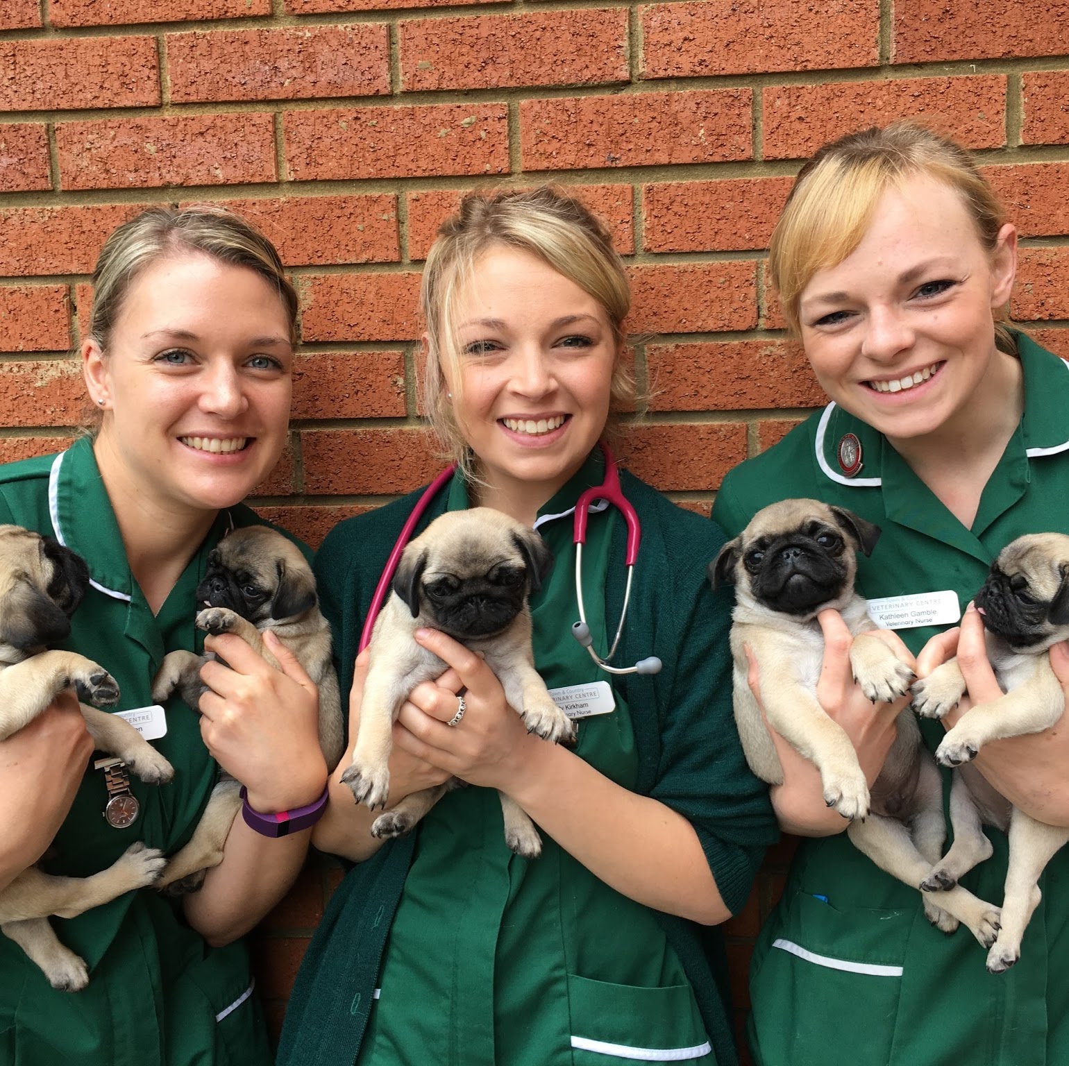 Town And Country Veterinary Centre - Market Harborough , United Kingdom