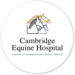 Cambridge Equine Hospital - Cambridge , New Zealand
