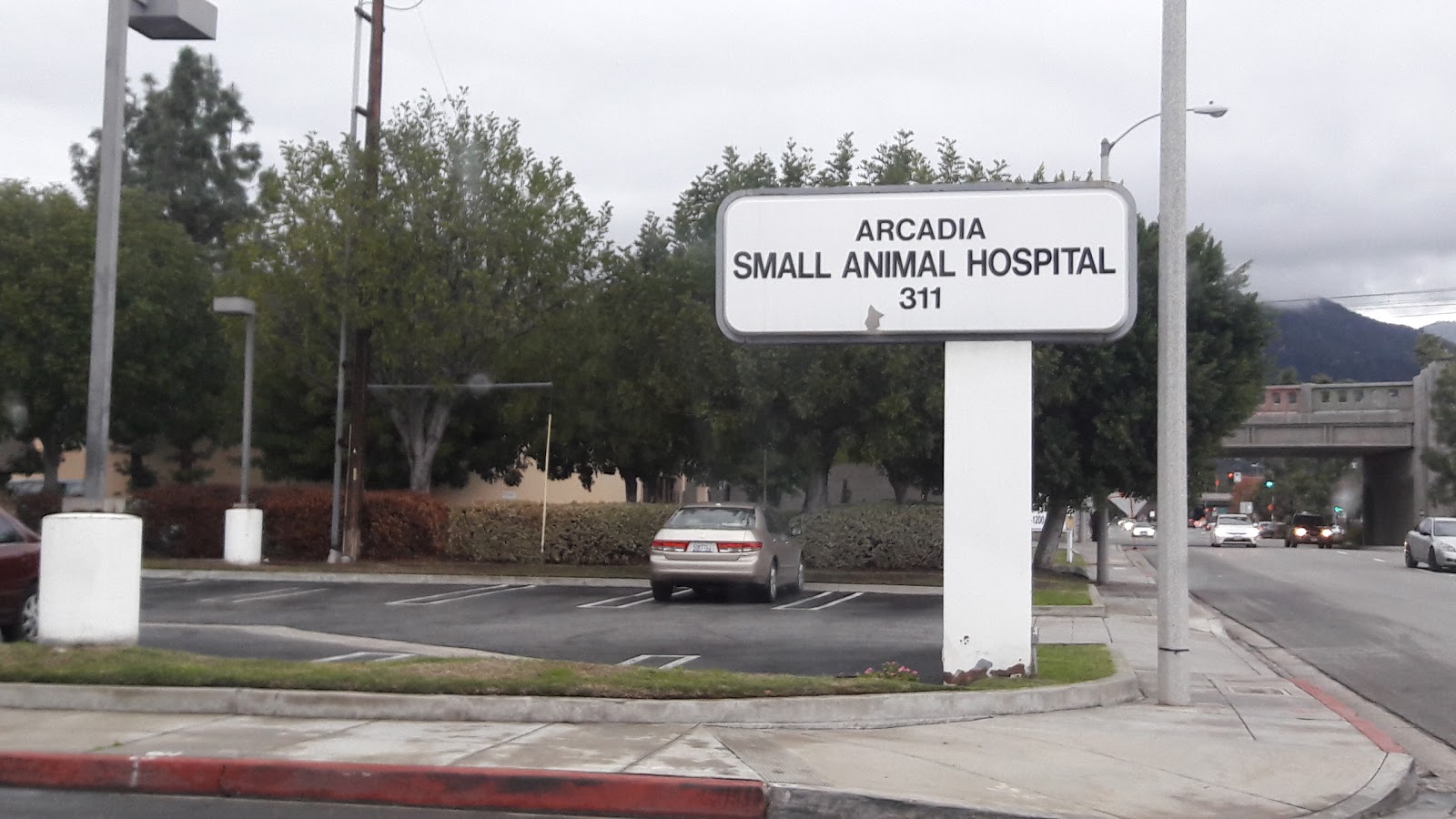 Arcadia Animal Hospital, 311 North Santa Anita Avenue, Arcadia, Reviews