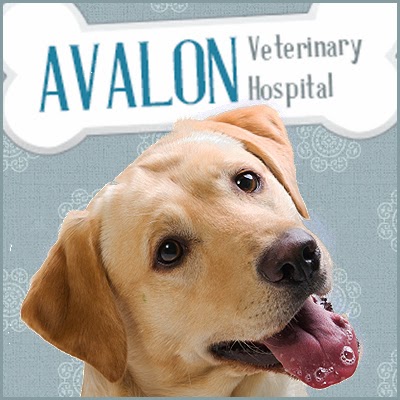 Avalon Veterinary Hospital - Broken Arrow , United States