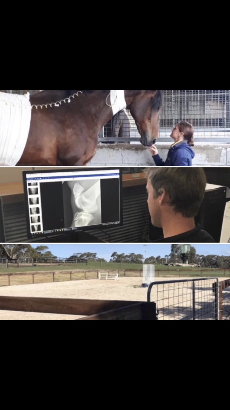 Morphettville Veterinary Clinic - Glengowrie , Australia