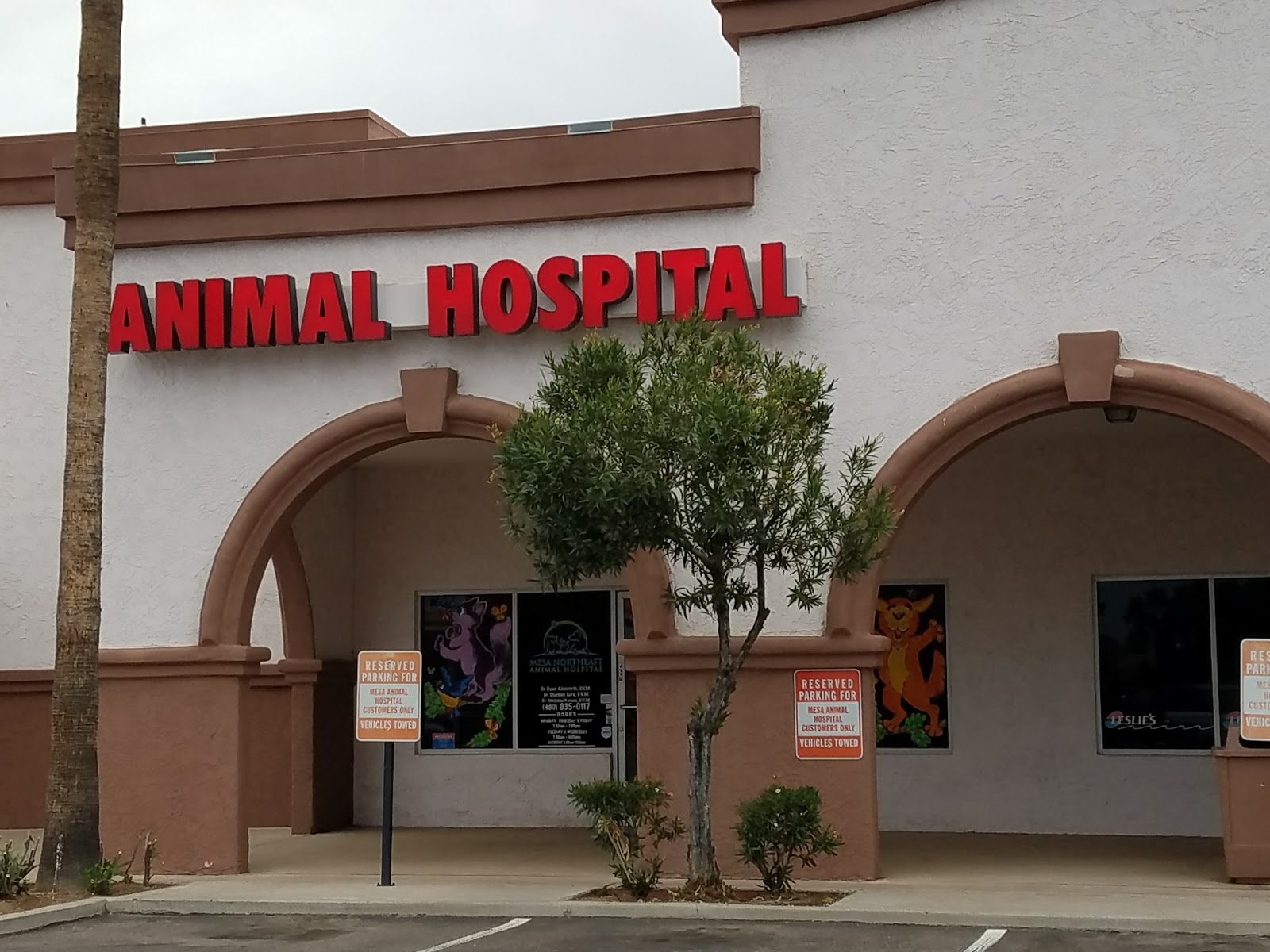 Mesa Northeast Animal Hospital - Mesa , United States
