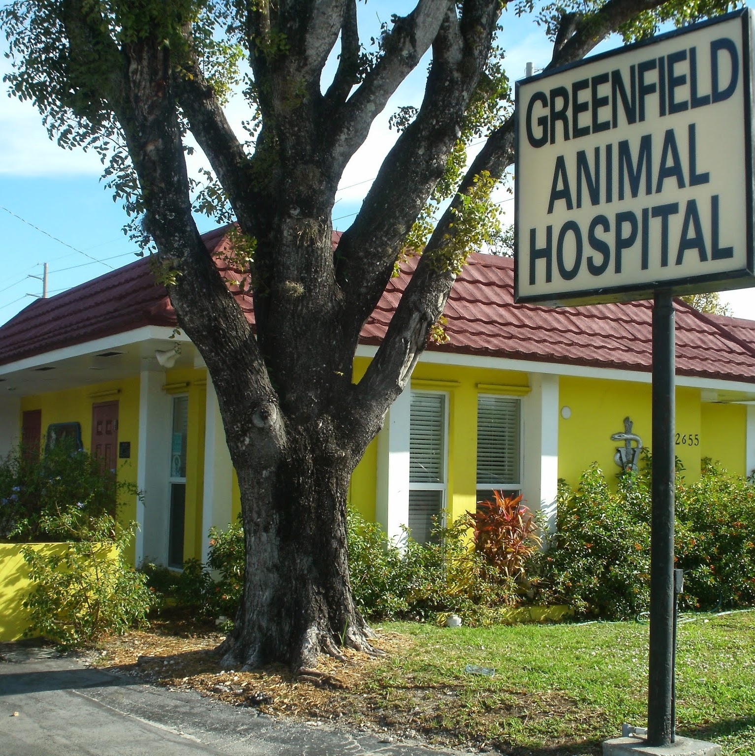 Greenfield Animal Hospital - Miami , United States