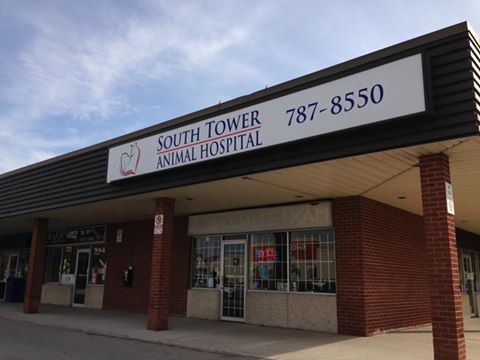South Tower Animal Hospital - Fergus , Canada