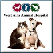 West Allis Animal Hospital - West Allis , United States