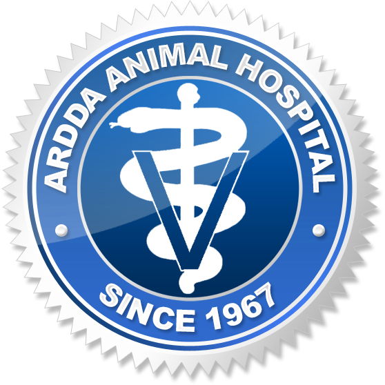 Ardda Animal Hospital - Rochester , United States