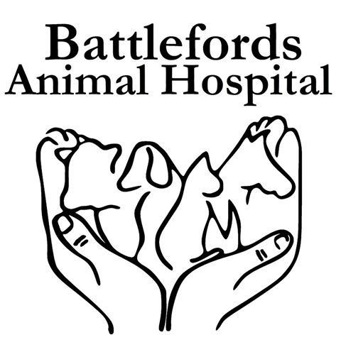 Battlefords Animal Hospital - North Battleford , Canada