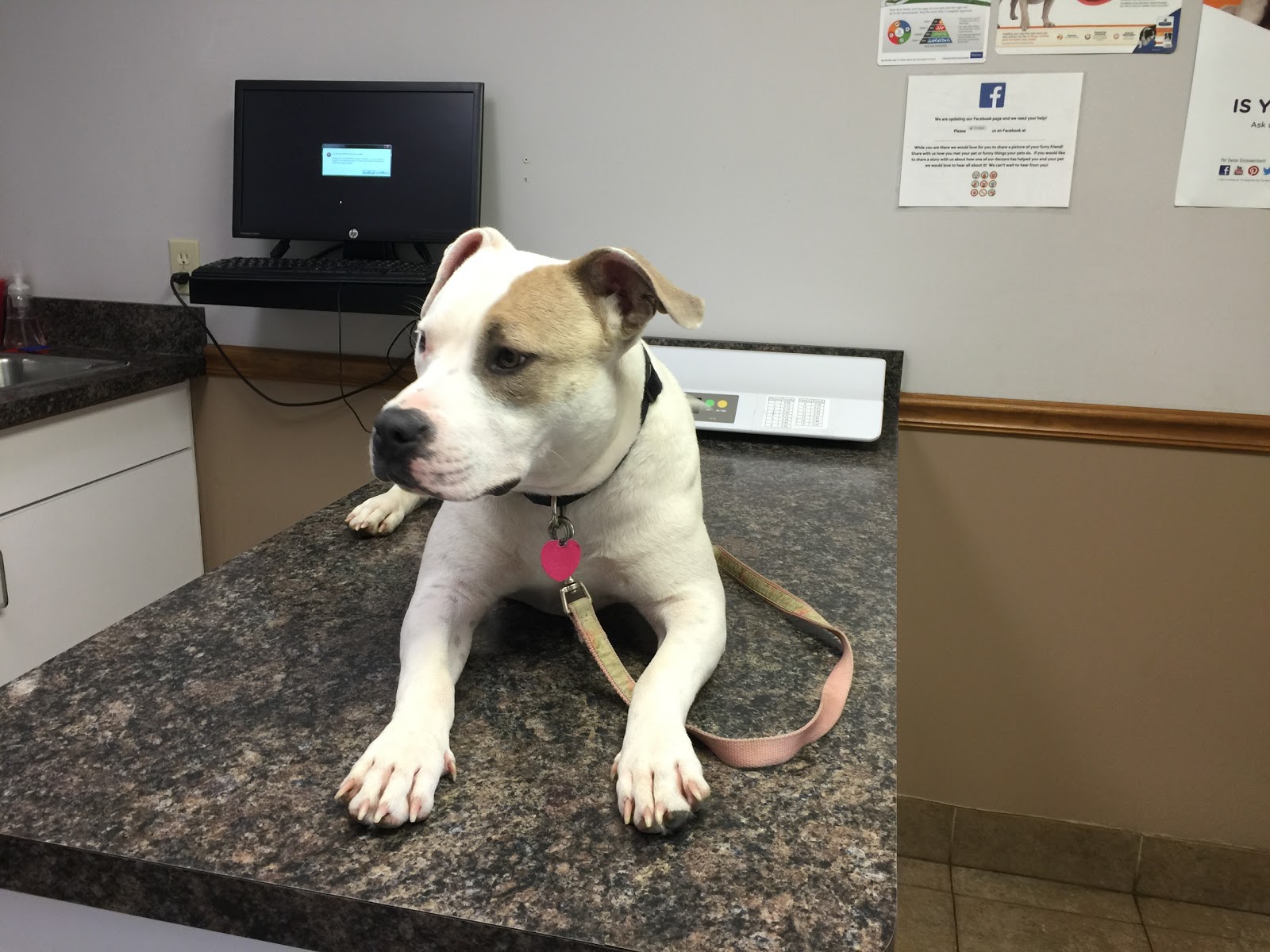 Vca Woodland Central Animal Hospital - Tulsa , United States