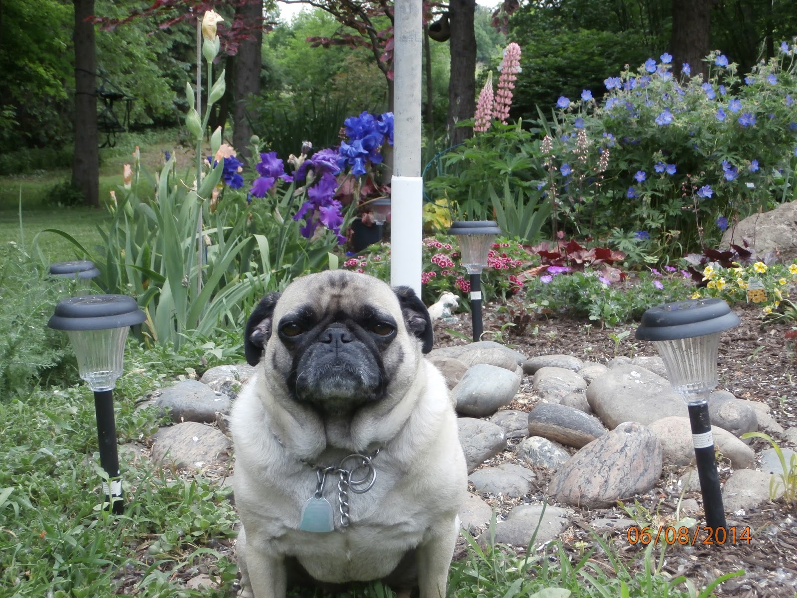 Webster Veterinary Clinic - Webster , United States