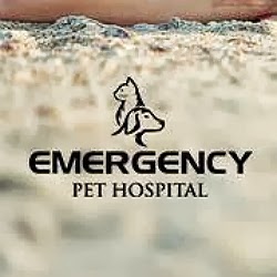24/7 Animal Hospital Of Orlando - Orlando , United States