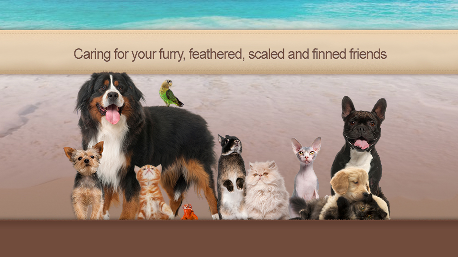 Aloha Animal Hospital - Las Vegas , United States