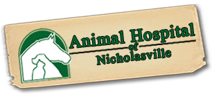 Animal Hospital Of Nicholasville - Nicholasville , United States