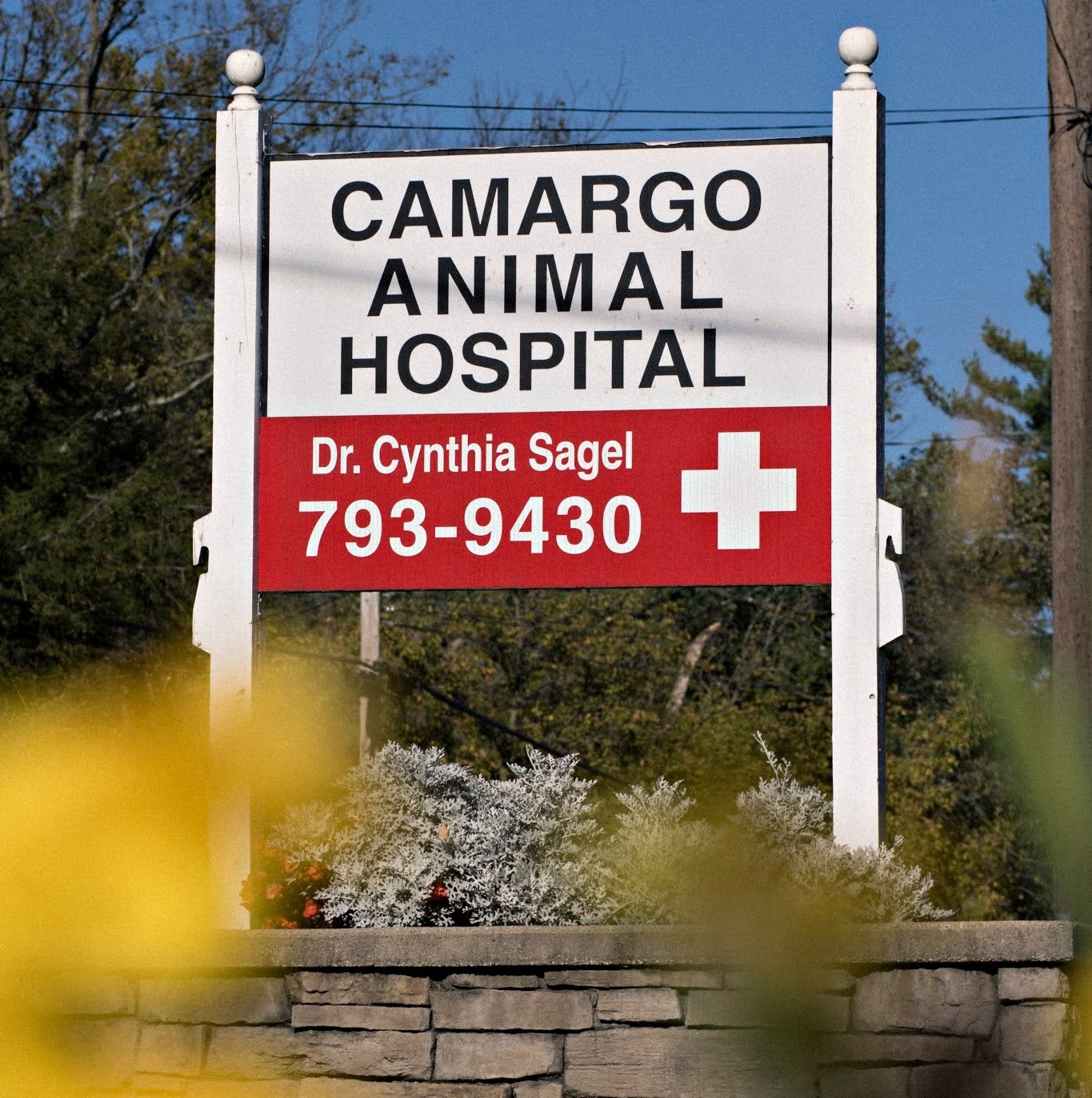Camargo Animal Hospital - Madeira , United States