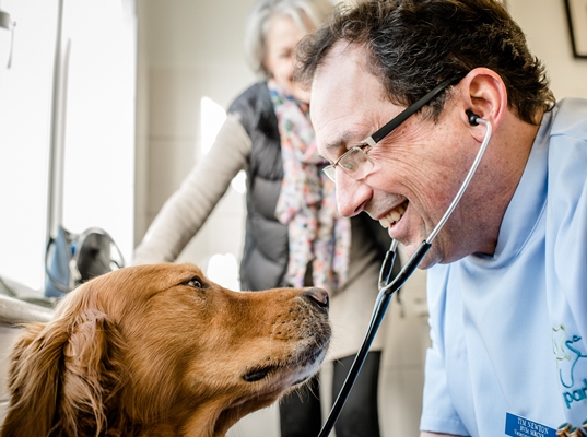 Goddard Veterinary Group Raynes Park - London , United Kingdom