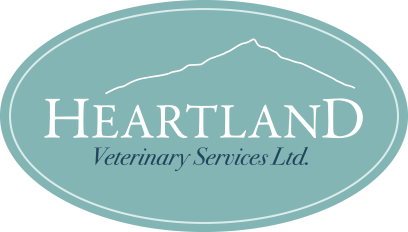 Heartland Veterinary Services - Aberfeldy , United Kingdom