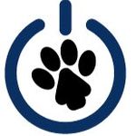 Georgia Puppies Online - Marietta , United States