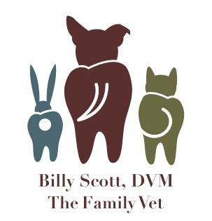 The Family Vet - Ridgeland , United States